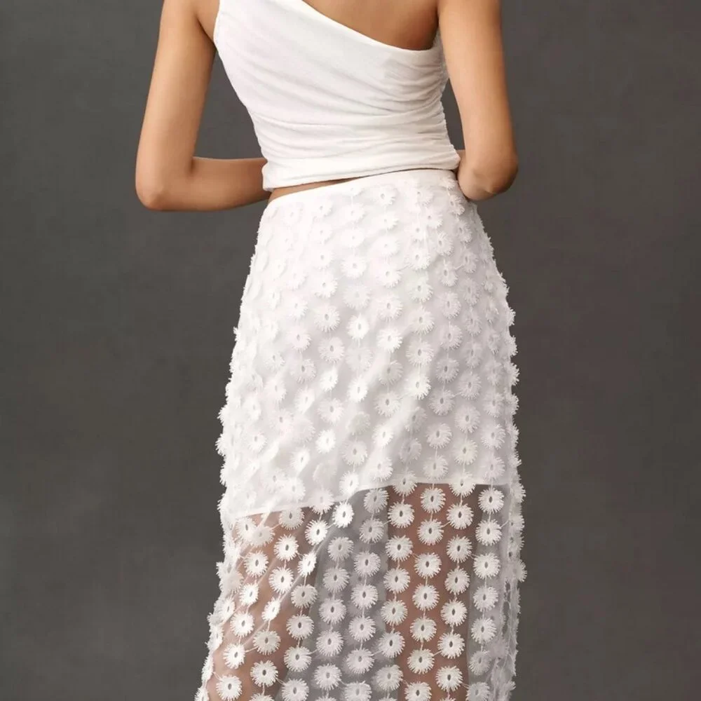 NWT By Anthropologie 3D Texture Sheer Slip Midi Skirt size Small - Picture 4 of 11